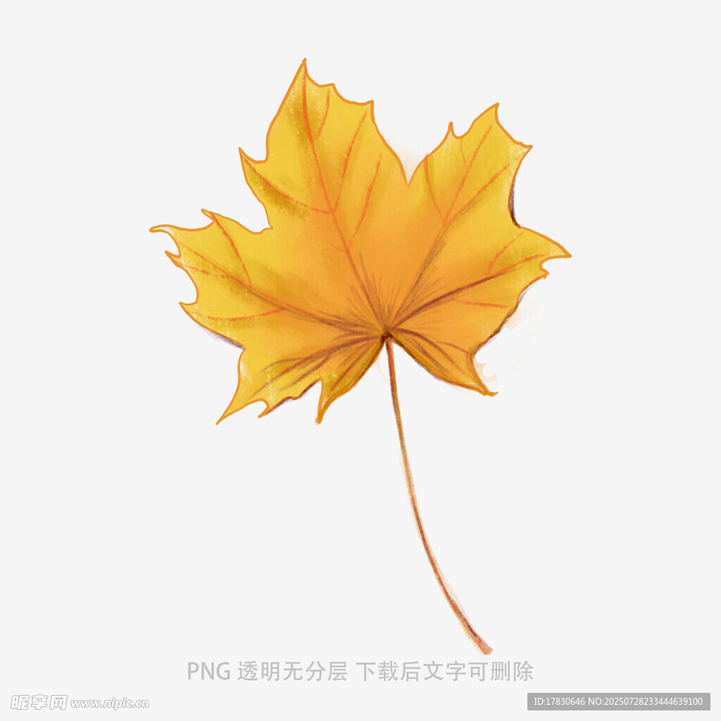 金黃楓葉特寫(xiě)