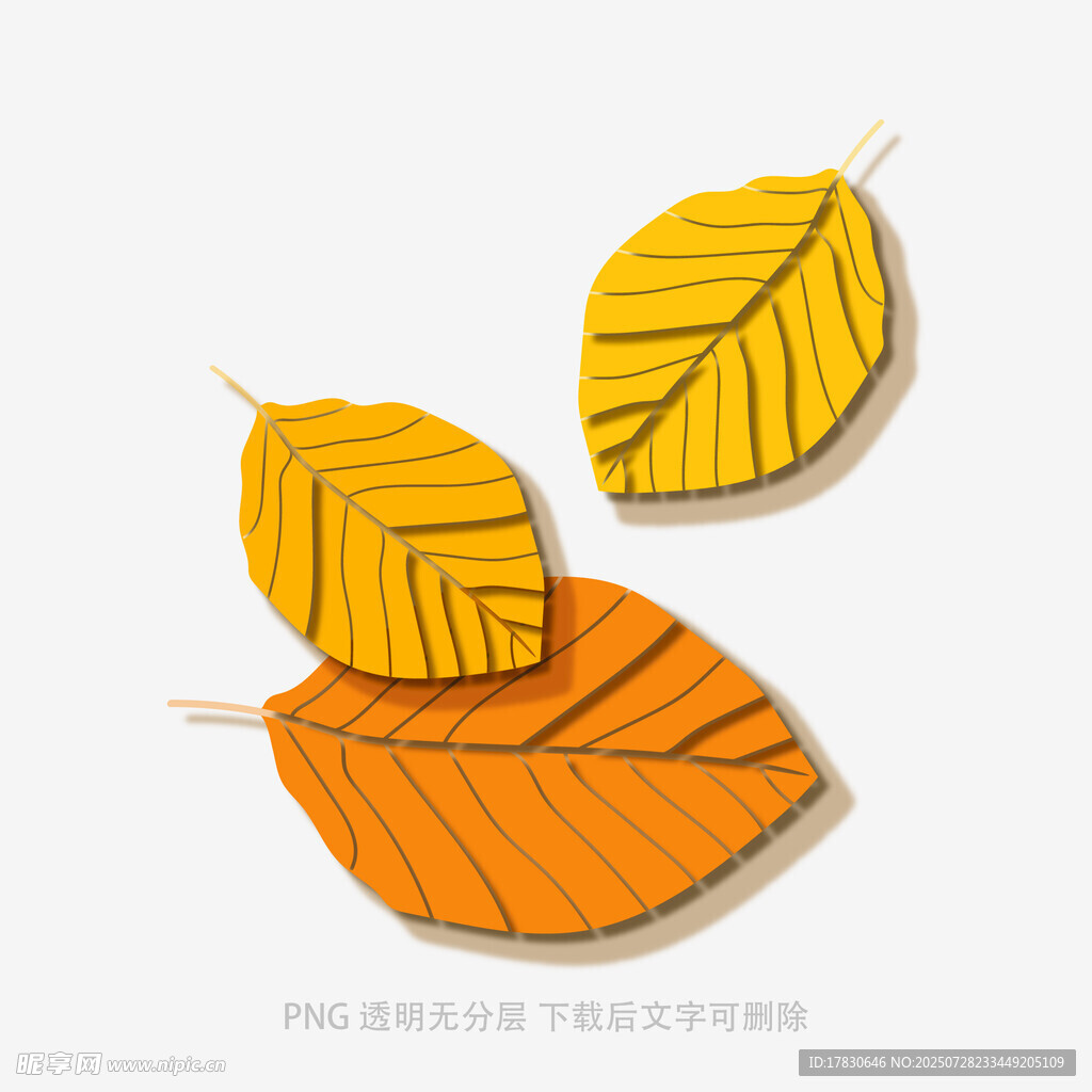 三片秋葉插畫