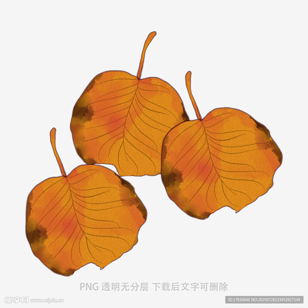 三片秋葉插畫(huà)