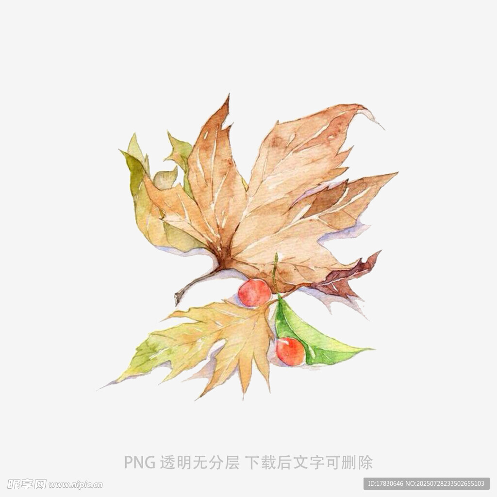 手繪秋葉與漿果插畫