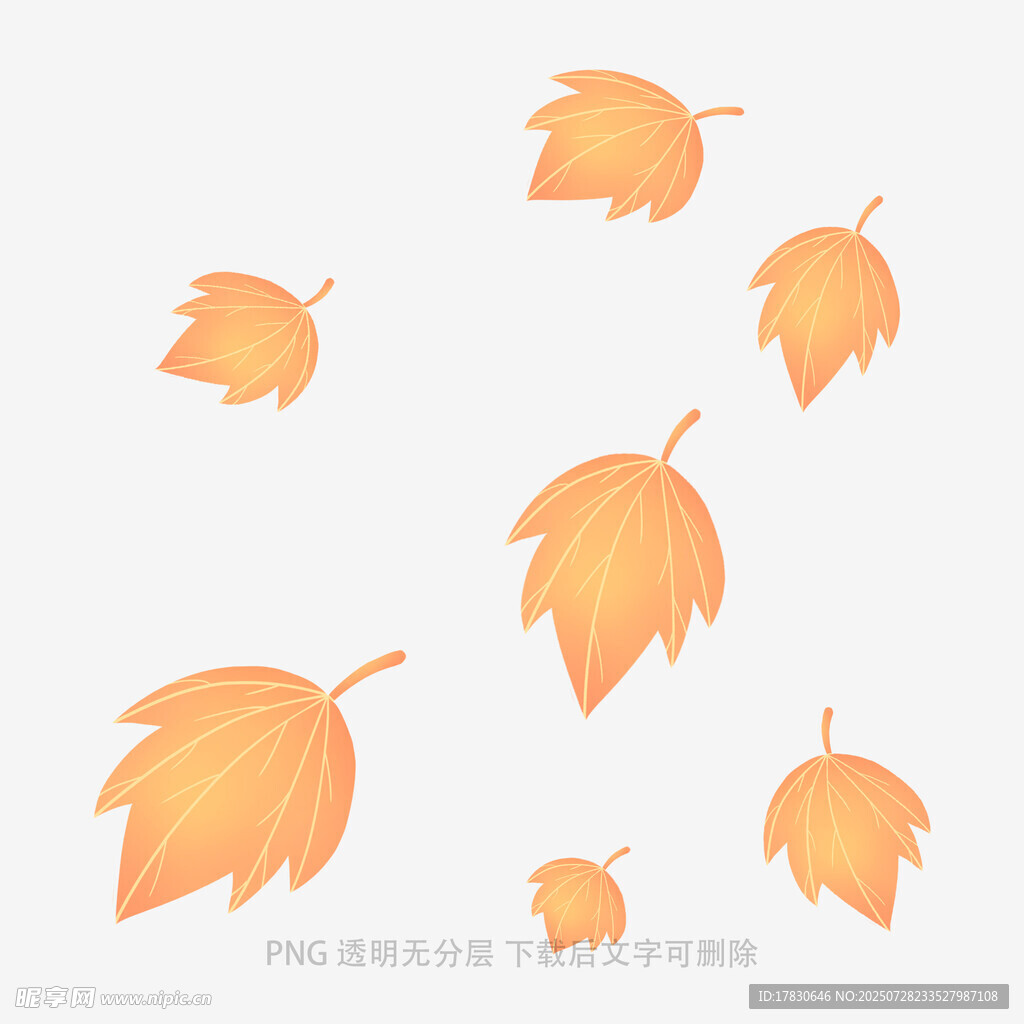 飄落的橙色楓葉