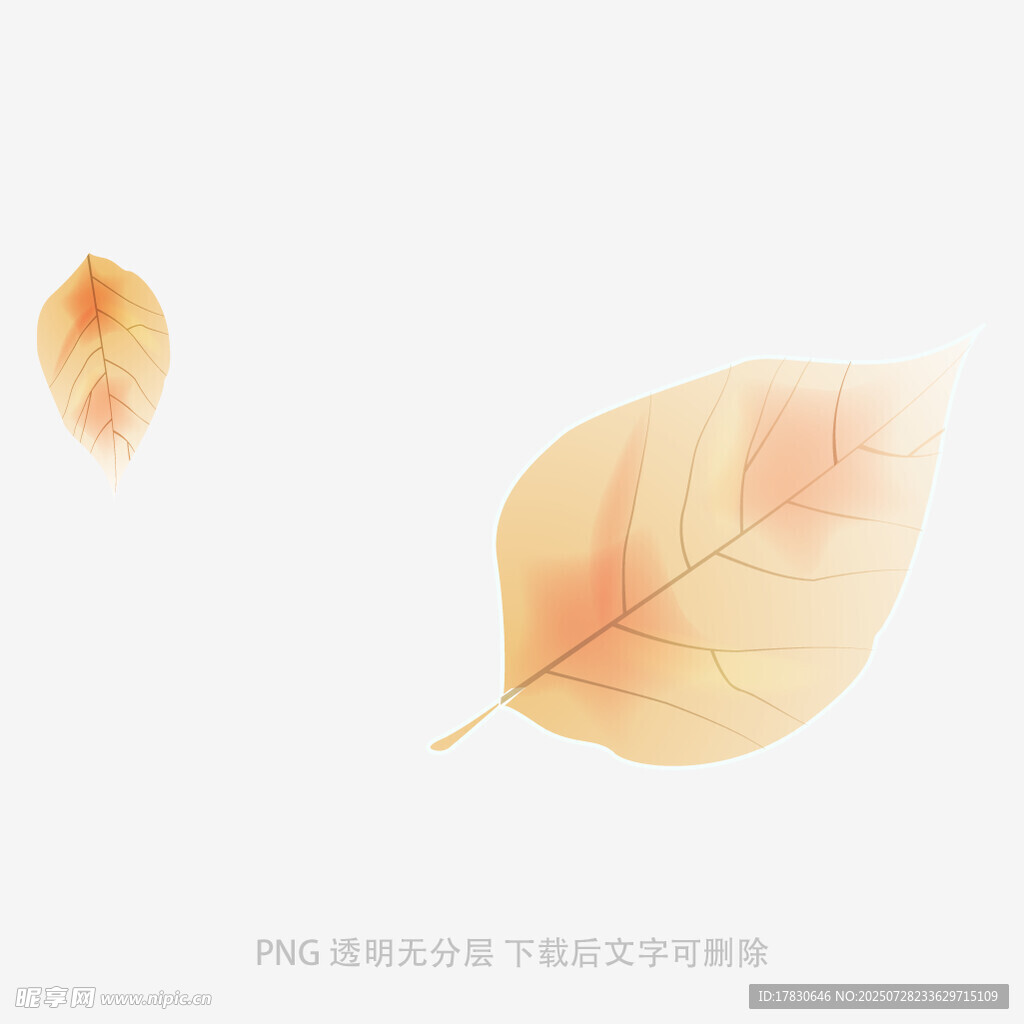 兩片金黃秋葉