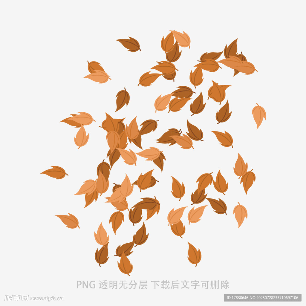 飄落的橙黃色樹葉