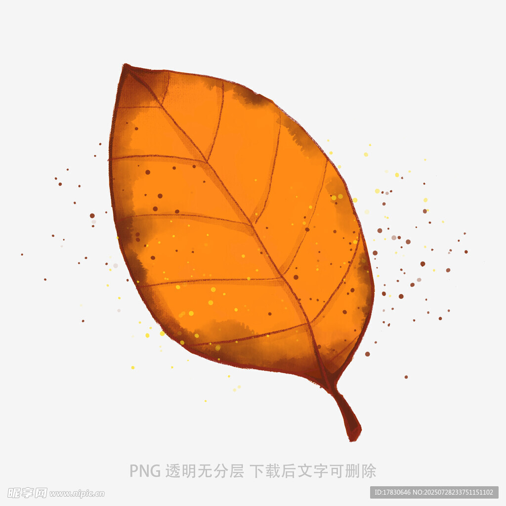 橙黃秋葉插畫(huà)