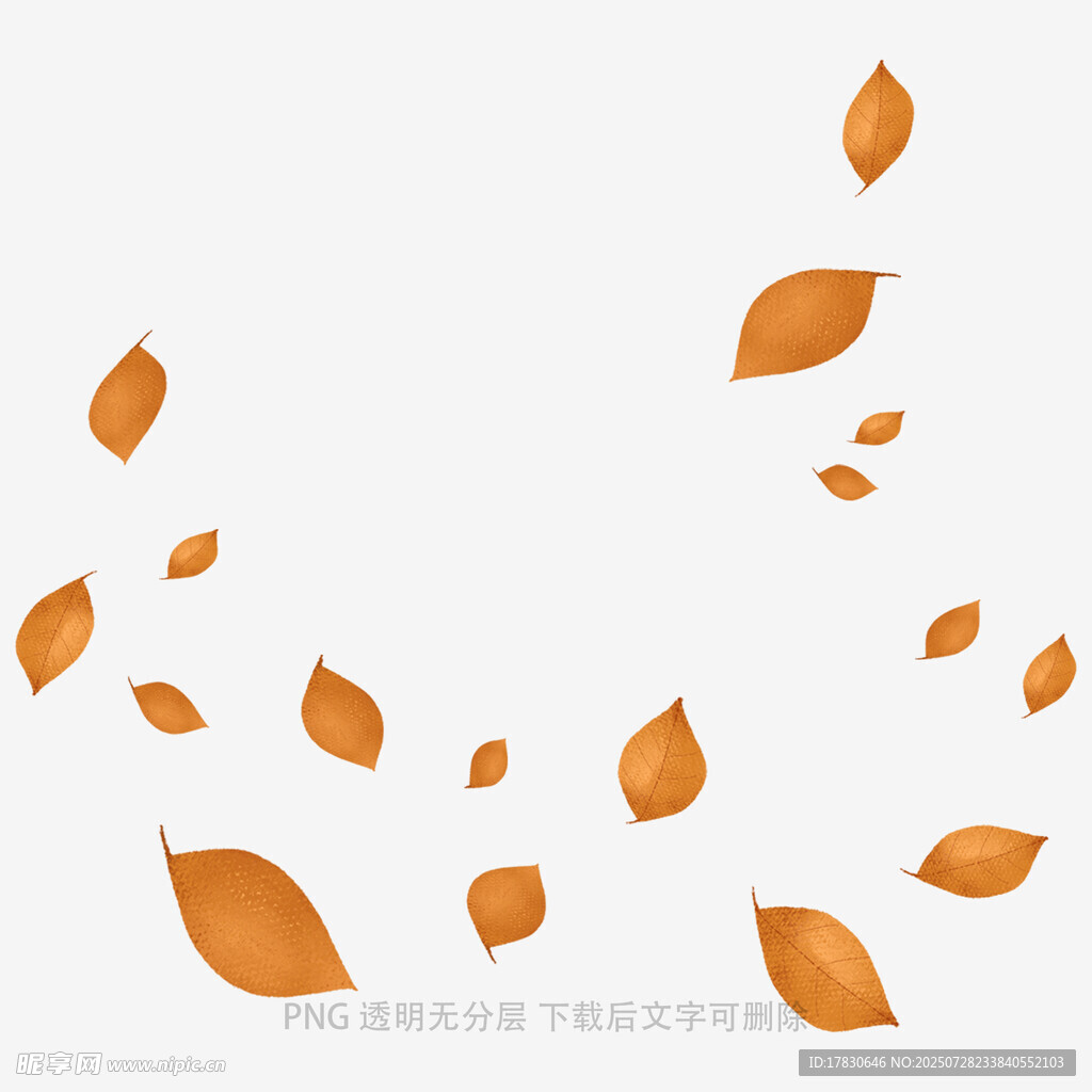 飄落的橙色樹葉