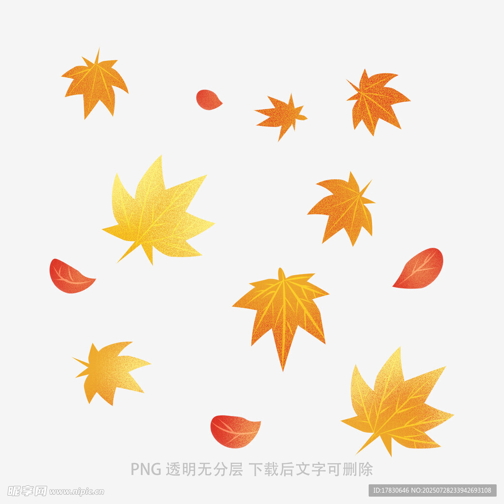 飄落的多彩楓葉元素