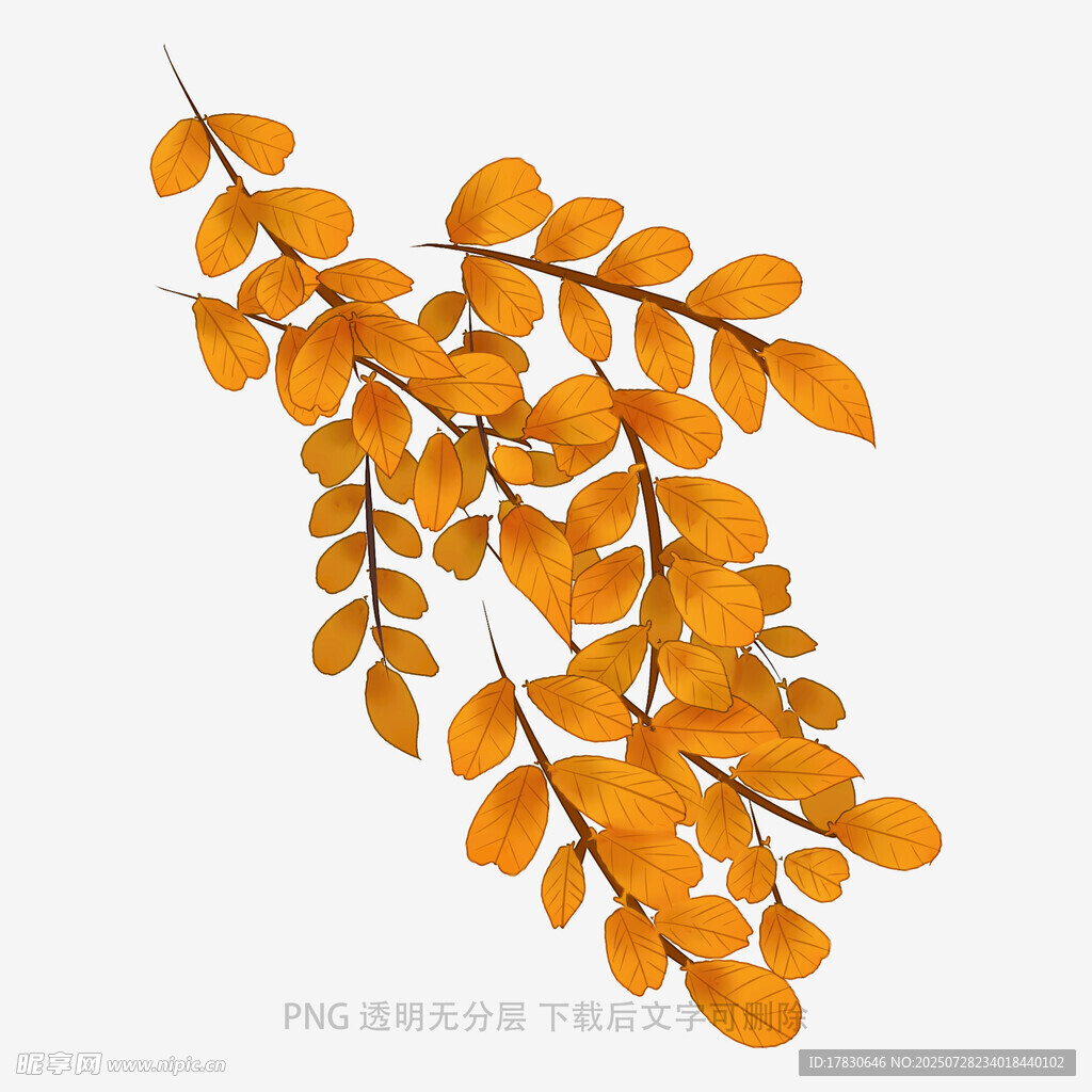 橙黃枝葉插畫(huà)