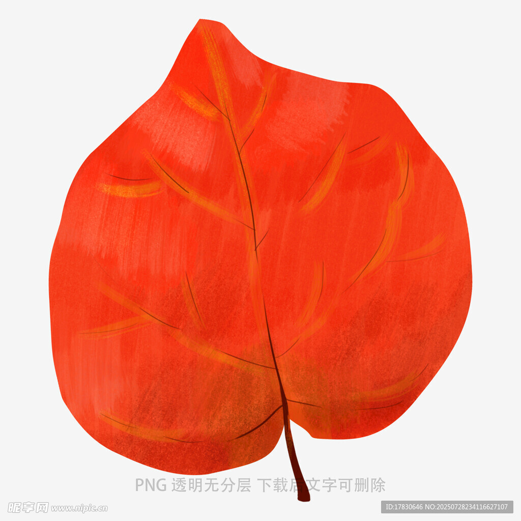 紅色心形葉片特寫
