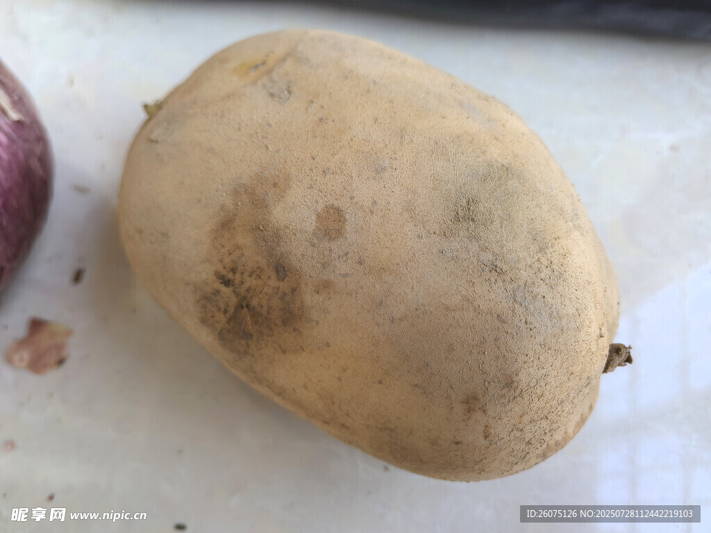 新鮮土豆特寫