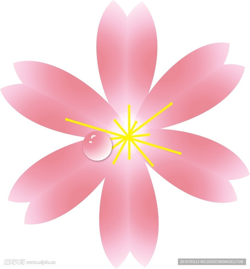 粉色櫻花花朵圖案