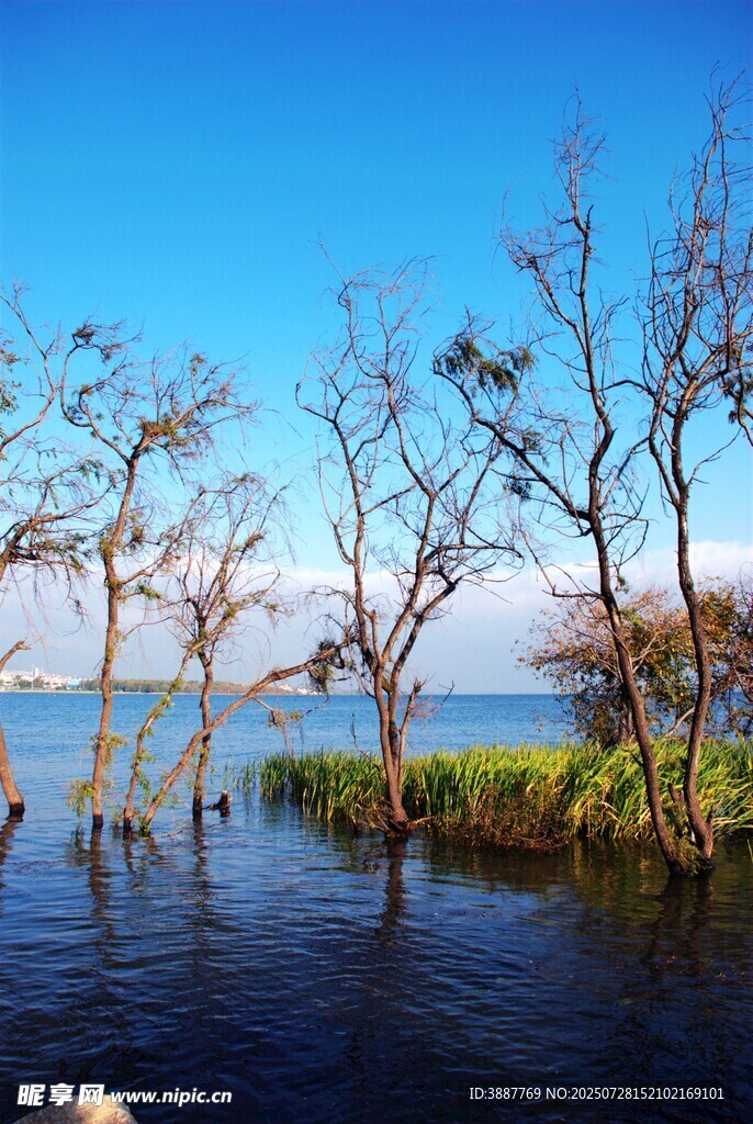 洱海公園