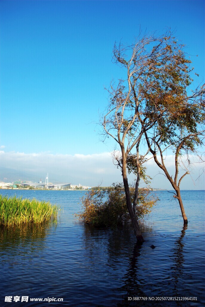 洱海公園