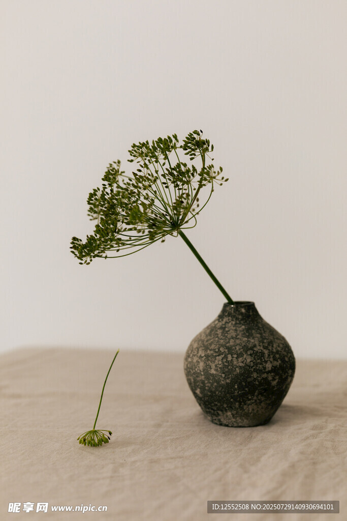 簡約花瓶中的清新綠植