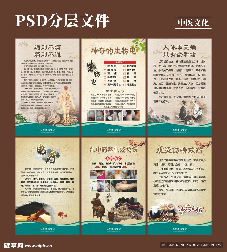 中醫(yī)文化 電療