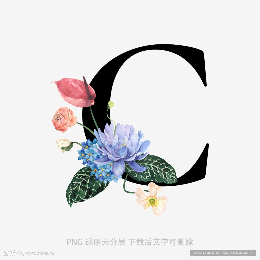 花卉裝飾的字母C