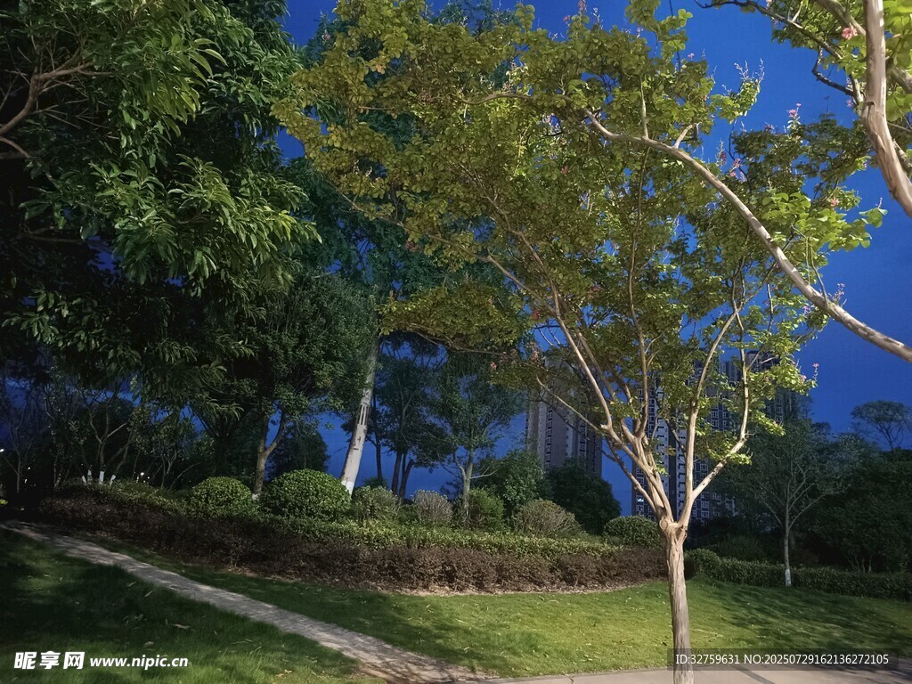 黃昏公園景色