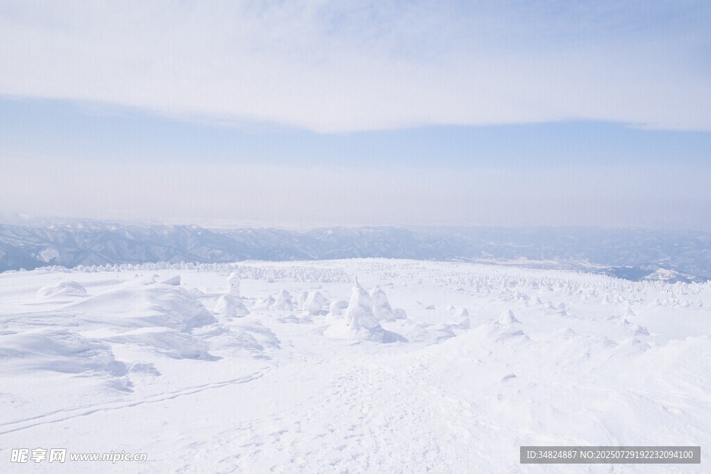 雪覆大地的純凈冬日景象
