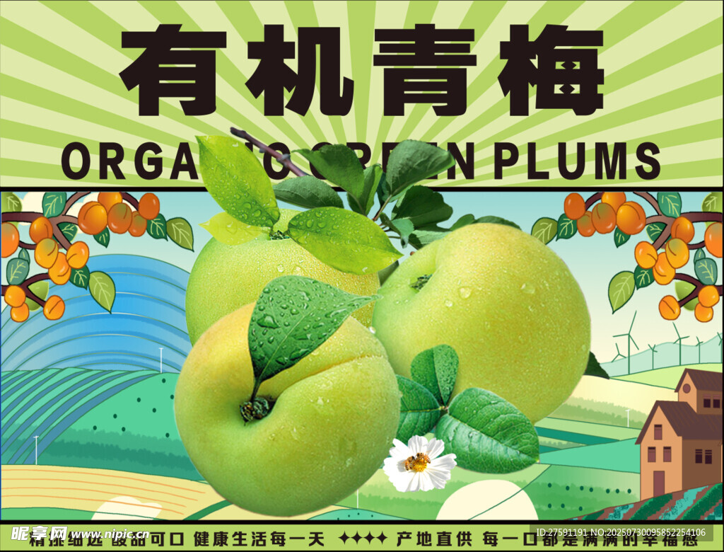 有機青梅宣傳圖