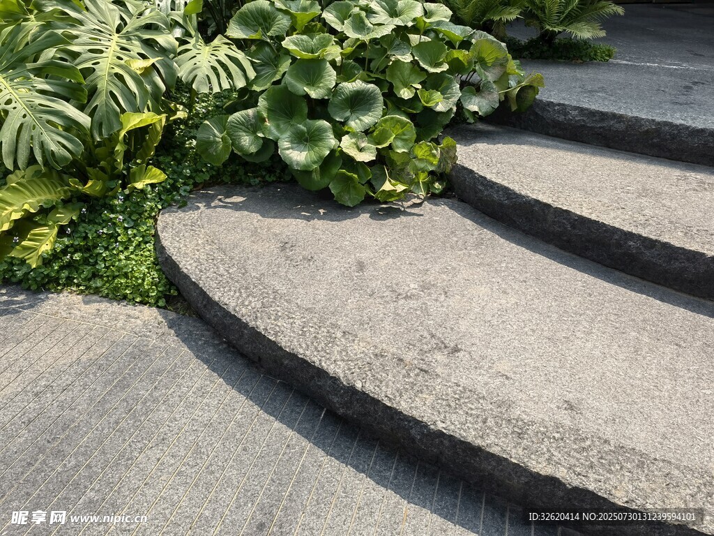 石板小徑旁的綠植景觀