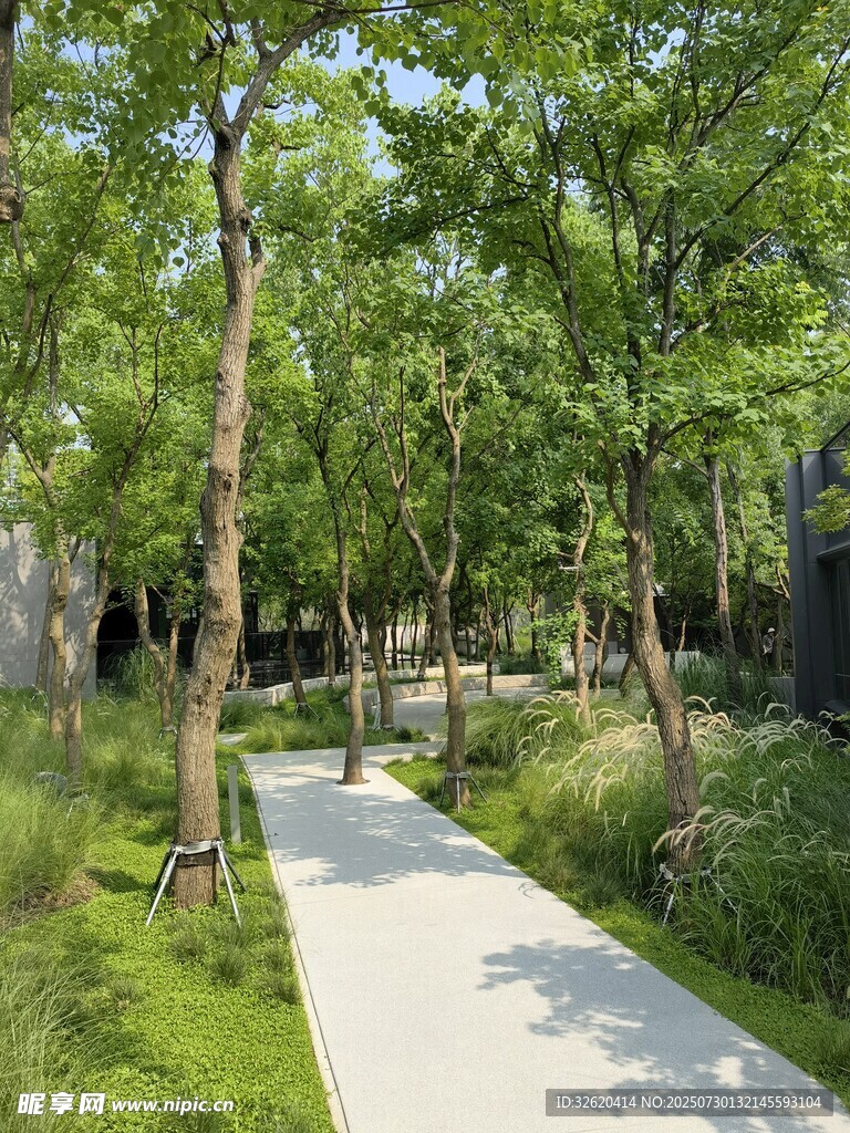 林間清幽步道