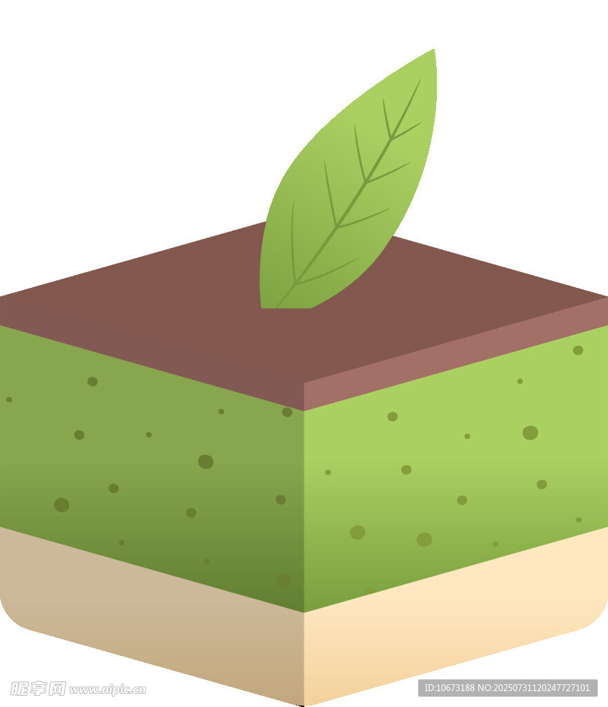 植物破土生長示意圖