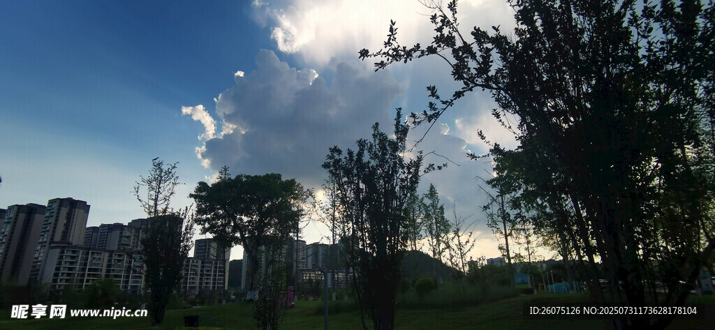夕陽(yáng)下的城市與樹木剪影景觀