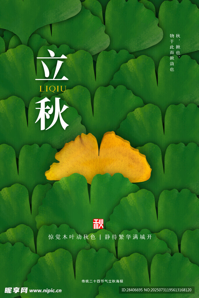 立秋時(shí)節(jié)銀杏葉與綠葉