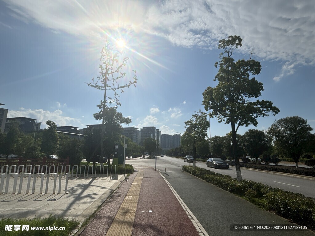 陽光照耀下的城市道路景觀