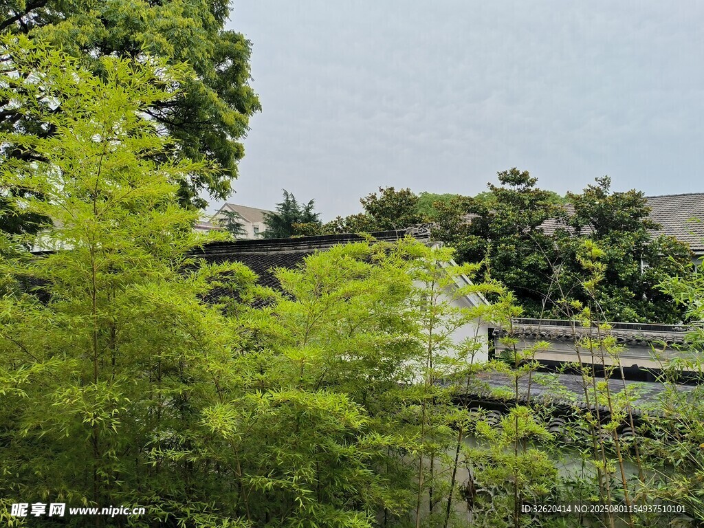 綠意盎然的鐵路沿線景觀