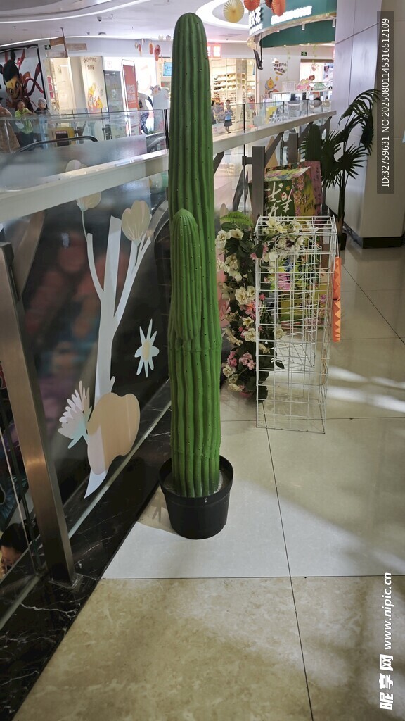 室內(nèi)的綠色仿真仙人掌擺件