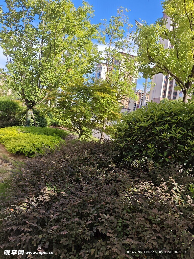 綠意盎然的庭院景觀