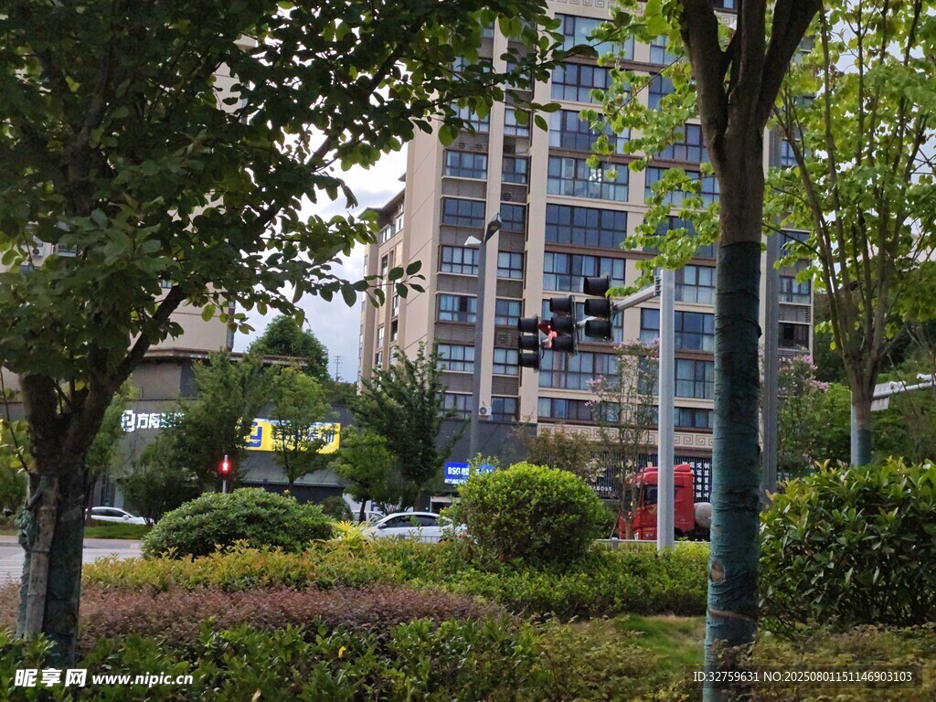 城市街邊綠意盎然景觀