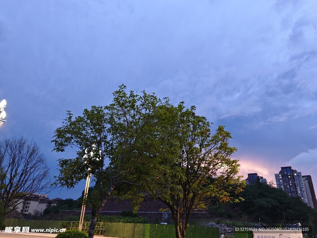 黃昏下的綠樹與天空