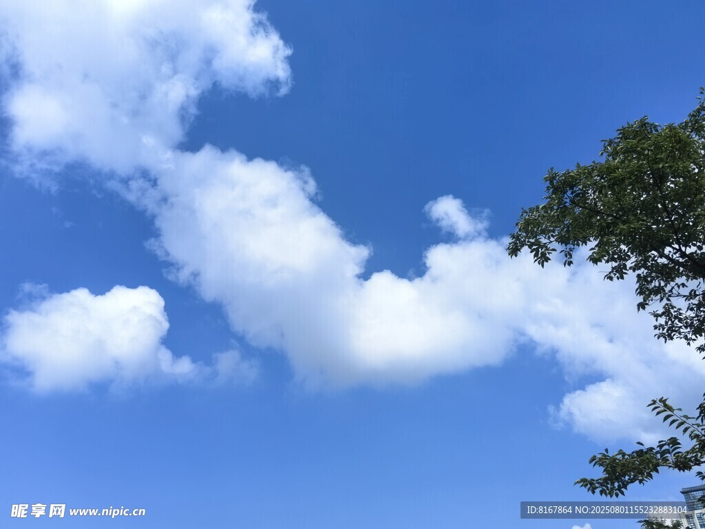 藍天綠樹間的白云飄飄
