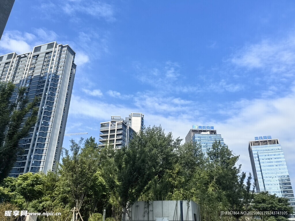 城市高樓與綠植景觀