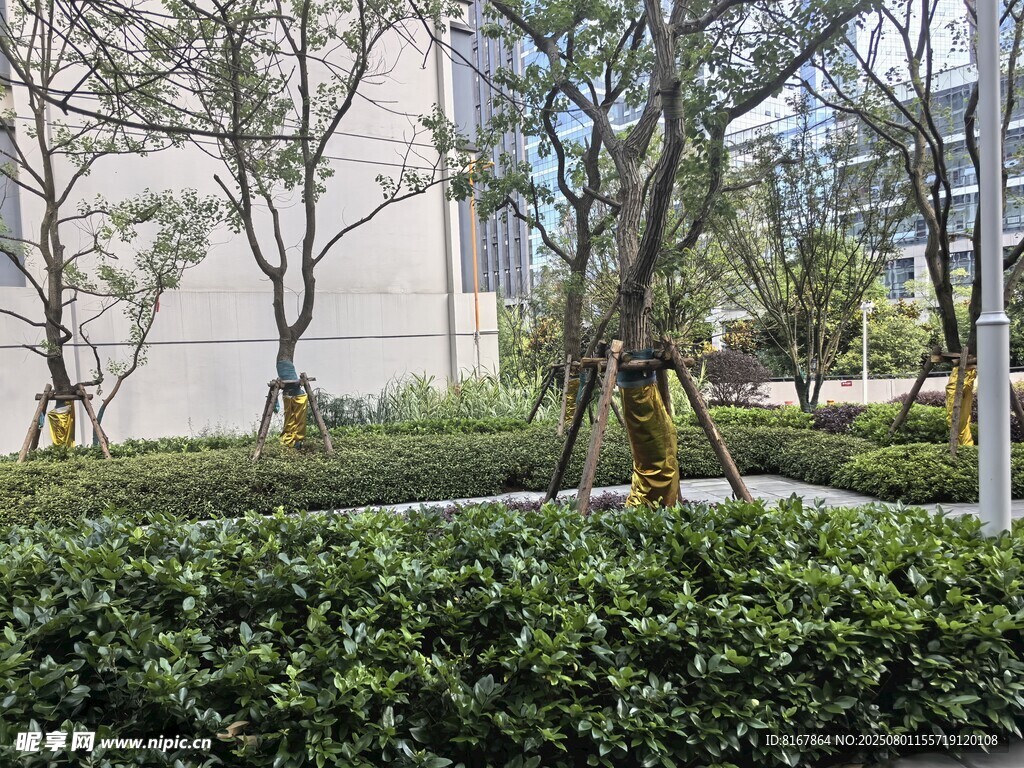 城市中的綠植景觀