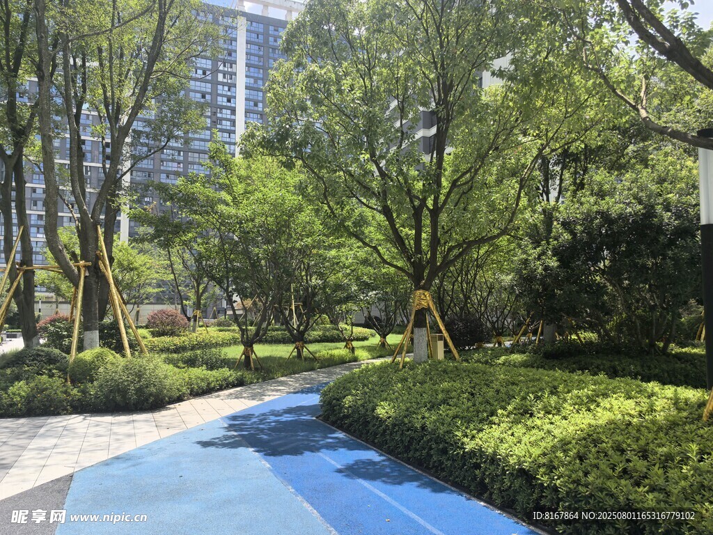 城市林間的靜謐藍(lán)色步道