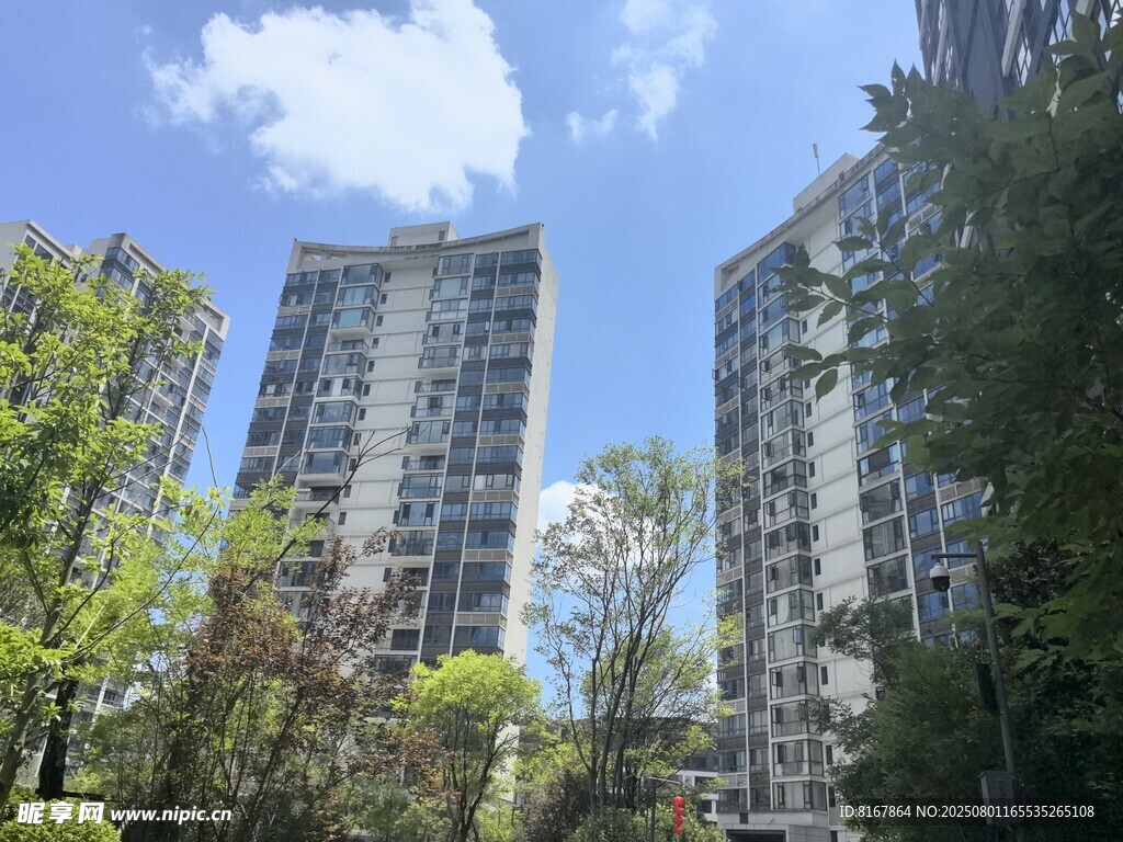 城市中林立的高層住宅樓