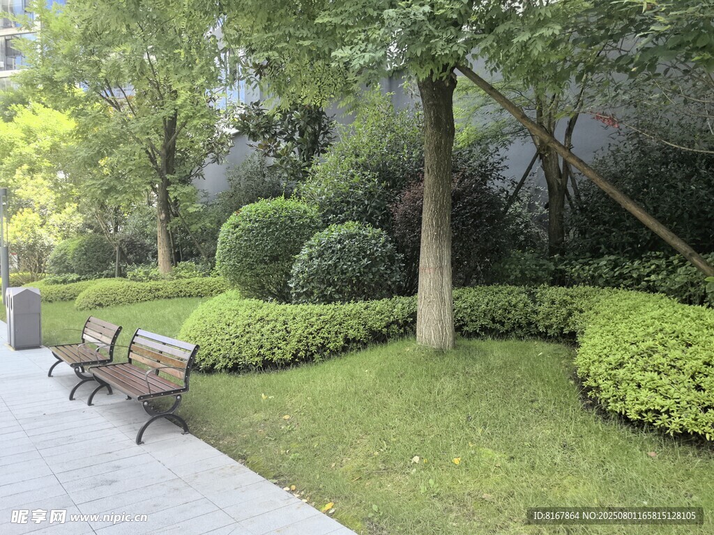 靜謐公園長(zhǎng)椅旁綠植景觀