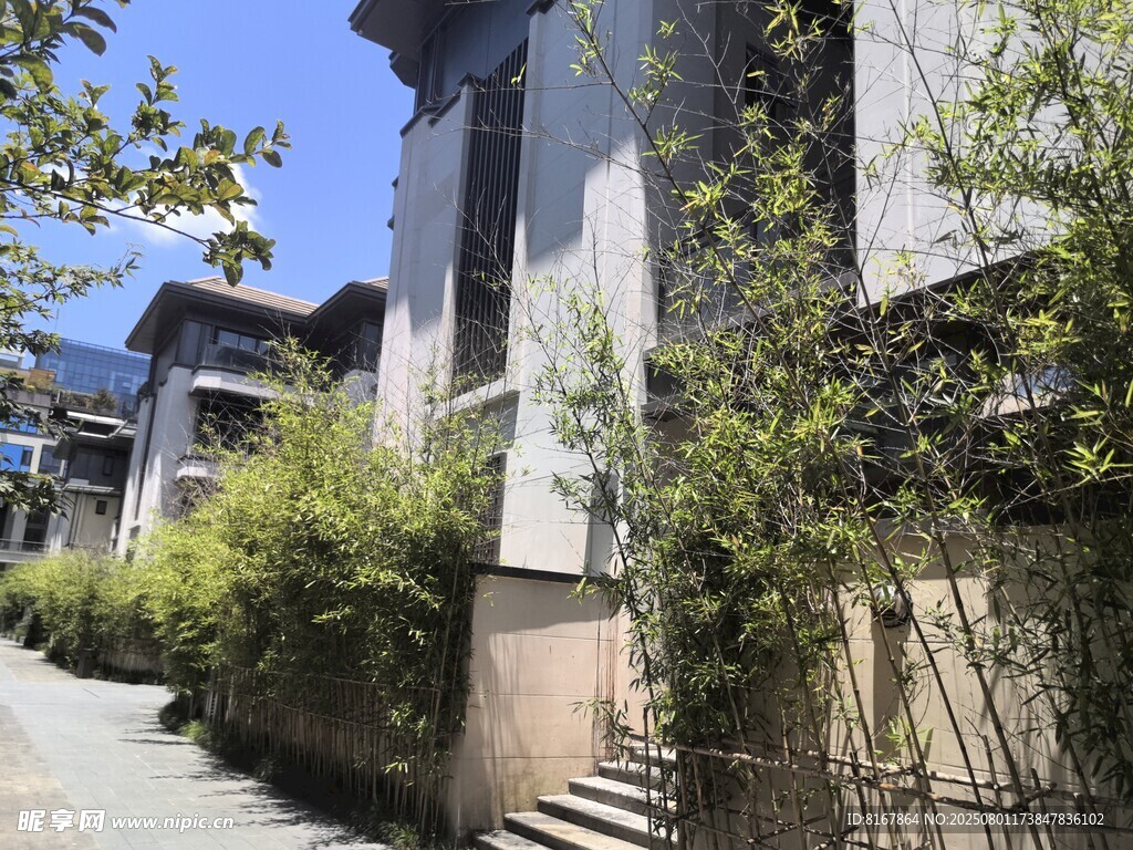 古樸街道旁的綠植與建筑