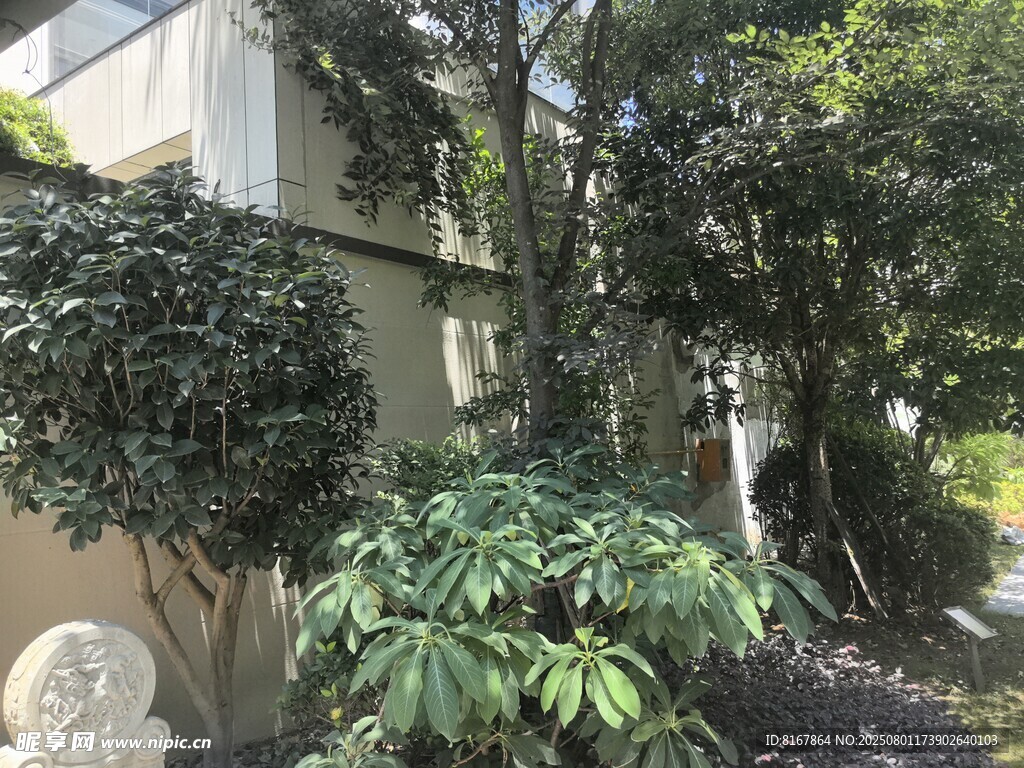 庭院綠植景觀