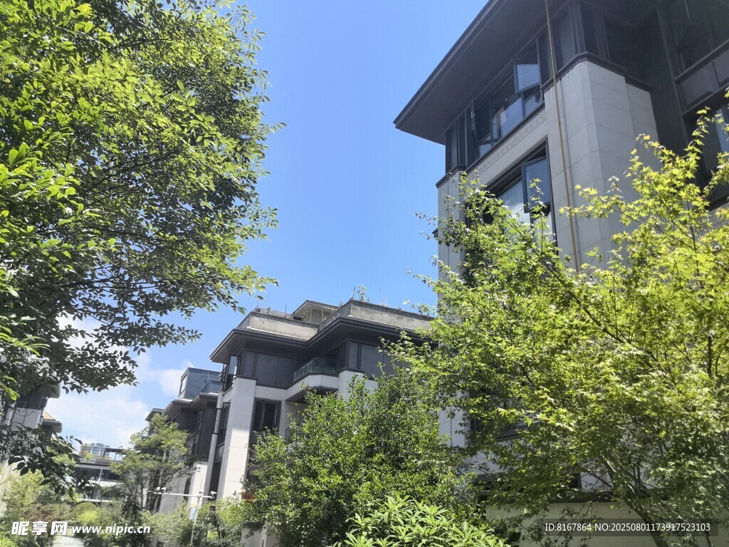 綠樹環(huán)繞的精致別墅