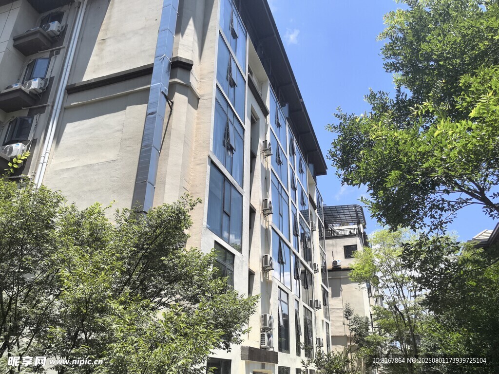現(xiàn)代建筑旁的蔥郁綠樹