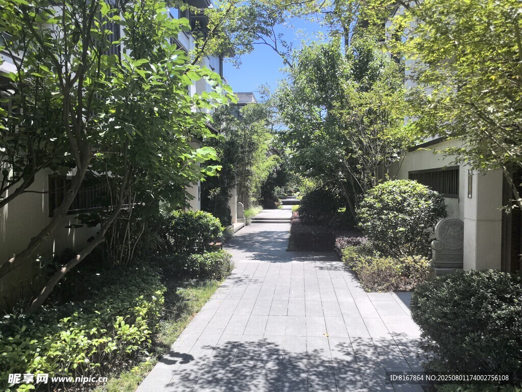 幽靜庭院小道景觀