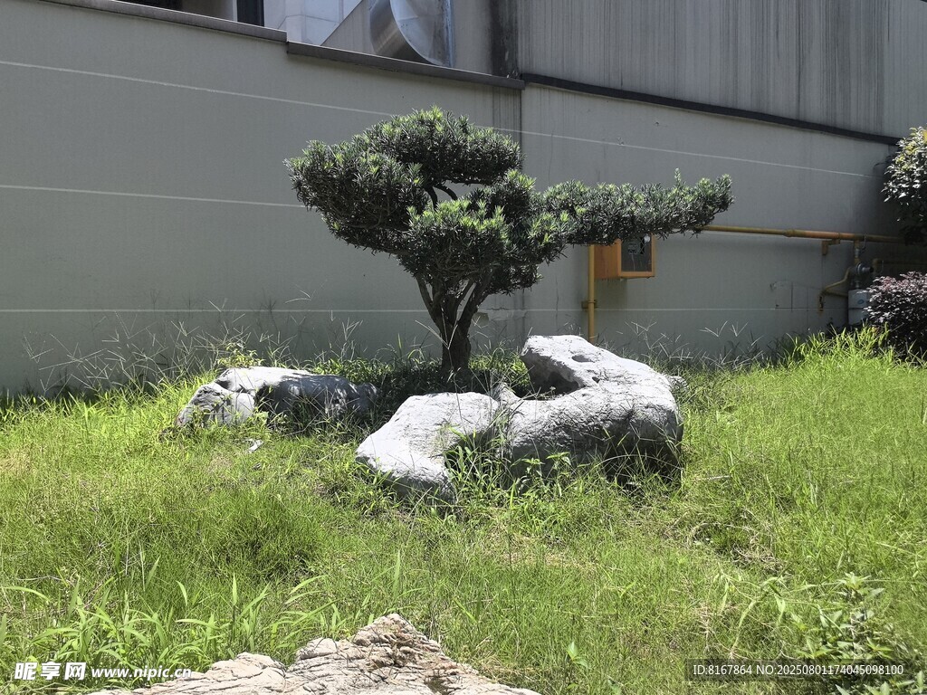 庭院盆景景觀