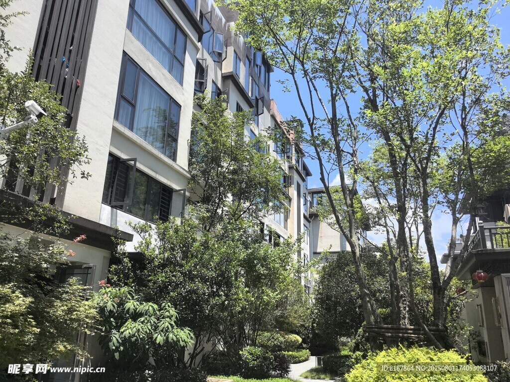 現(xiàn)代建筑旁的綠植景觀