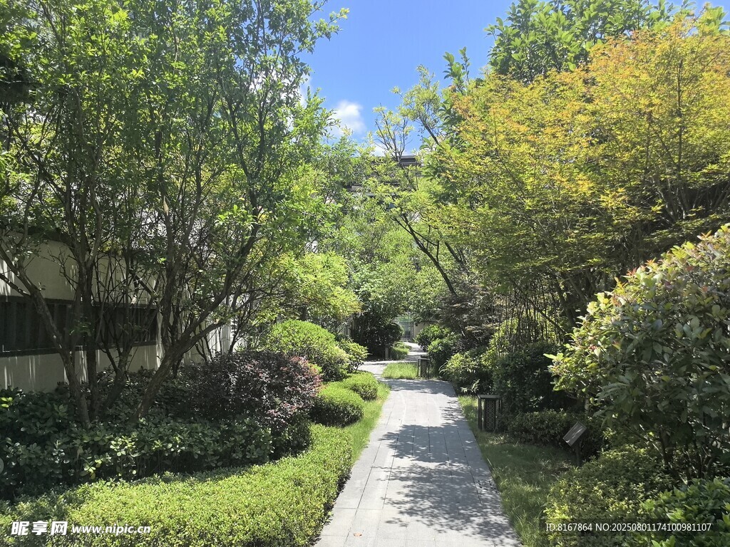 幽靜林間小道