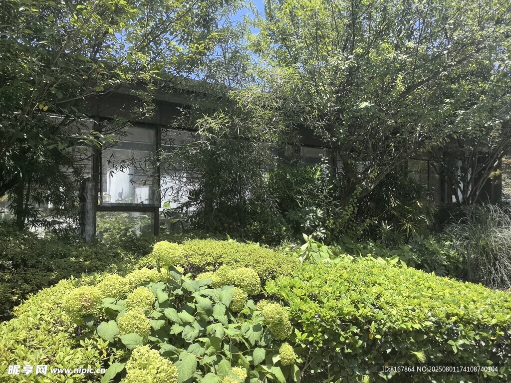 庭院綠植環(huán)繞的靜謐景致