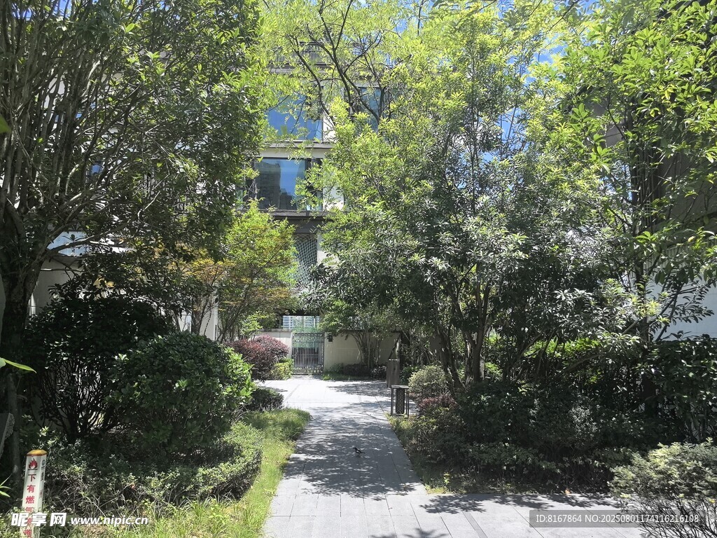 綠意盎然的景致