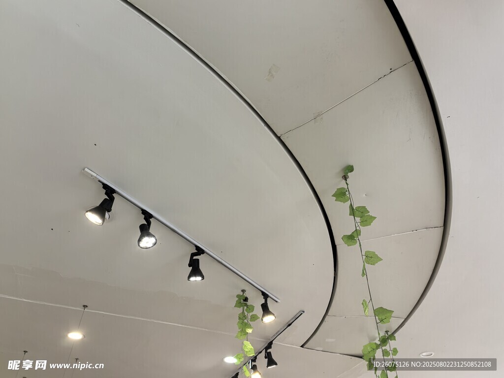 弧形天花板綠植裝飾燈具